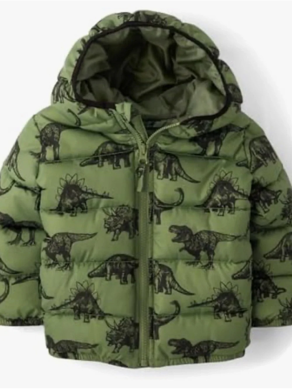 The Children’s Place ❤️Kids Green Dinosaur Print Puffer Jacket
